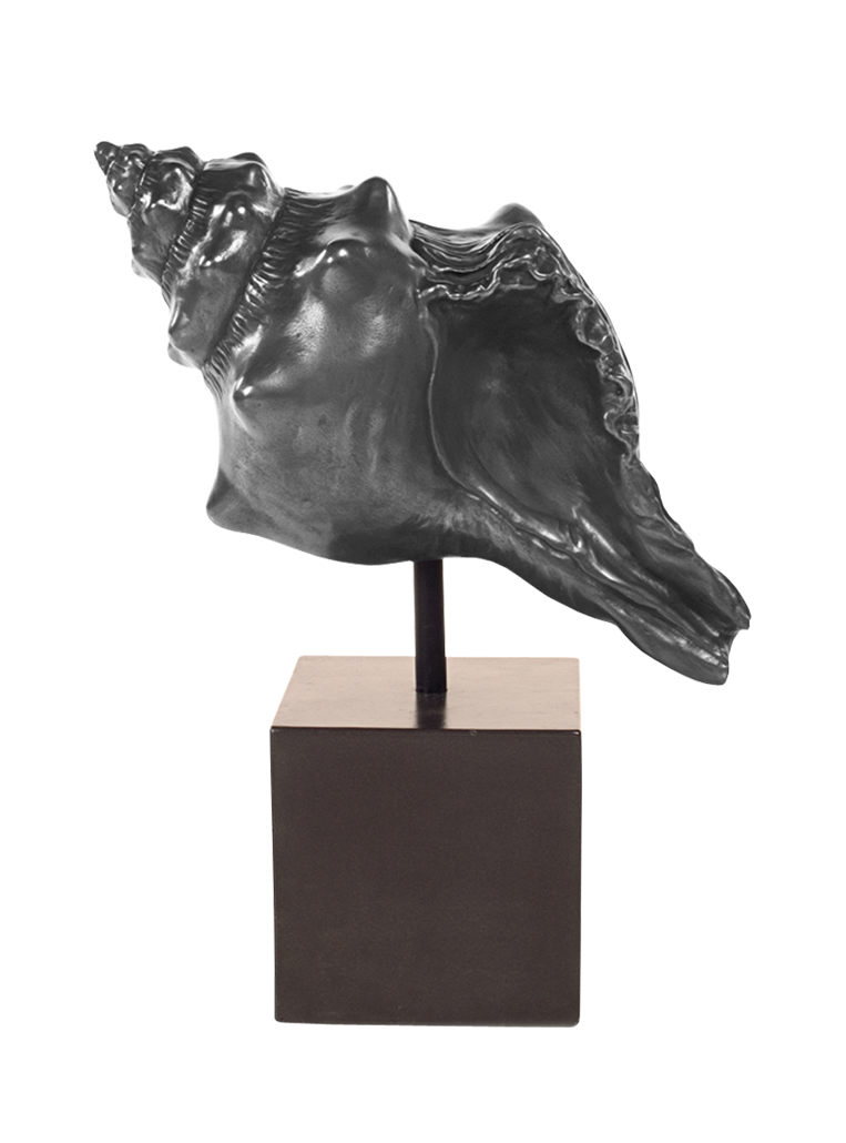 Conch Table Sculture w. Box Pedestal