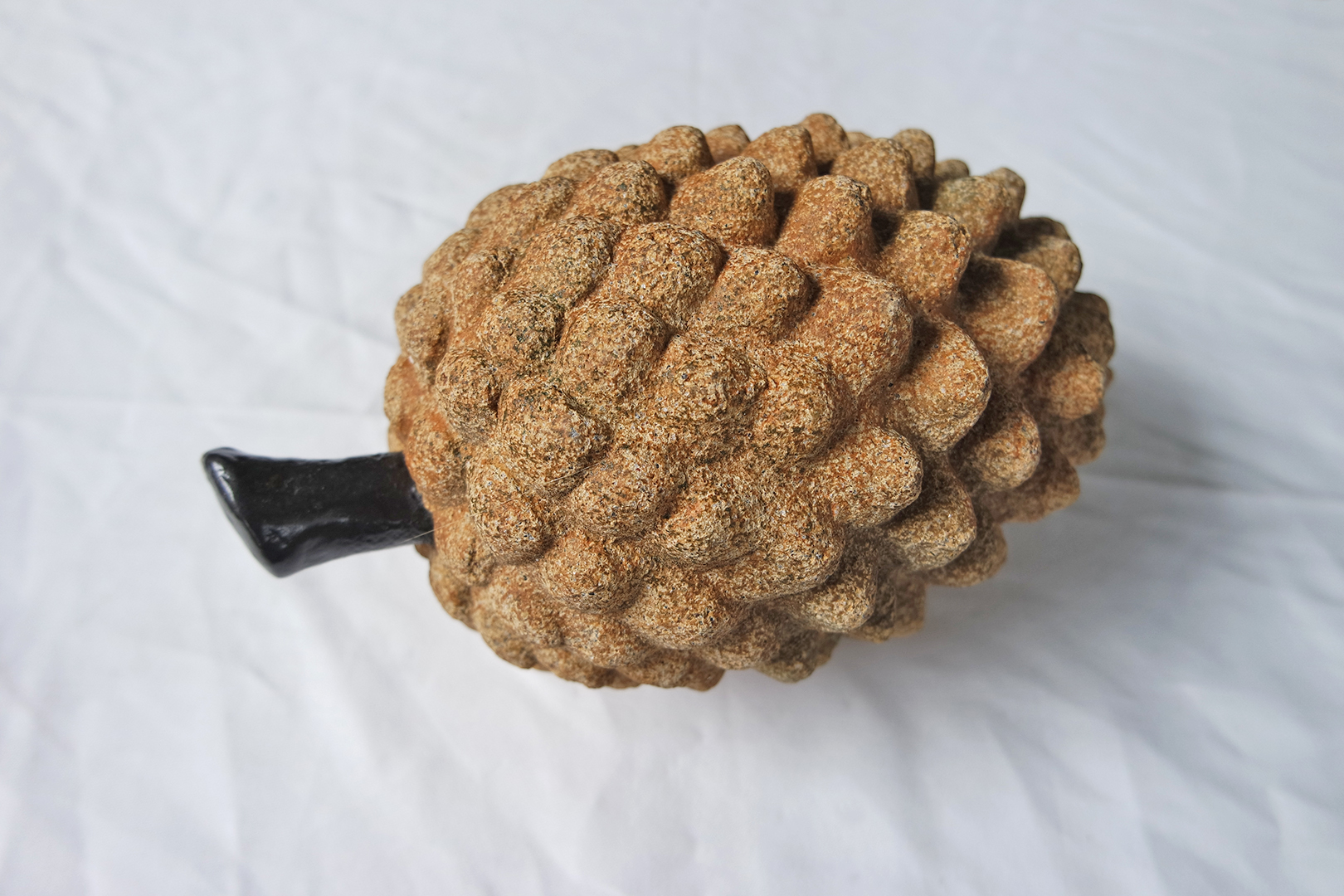 Pine Cone