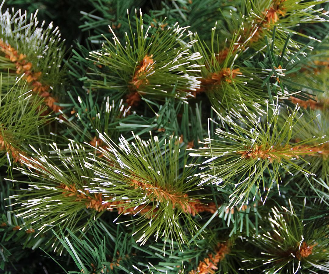 Addison Hard Needle Pine Tree - Einzelne Äste