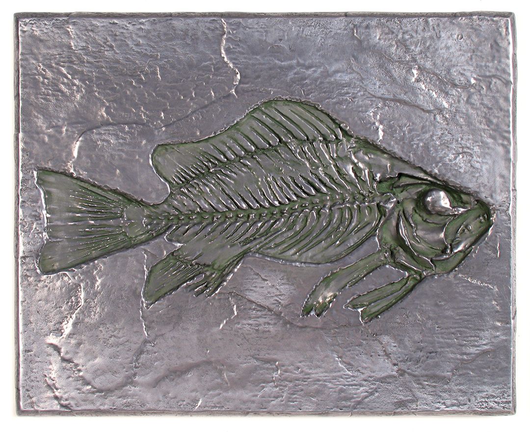 Cambrian Fish Plaque