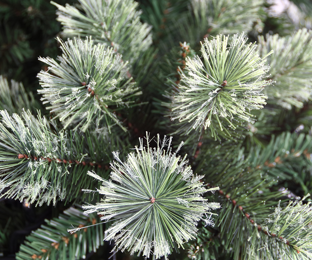 Bavaria Pine Slim Tree inkl. Mini LEDs
