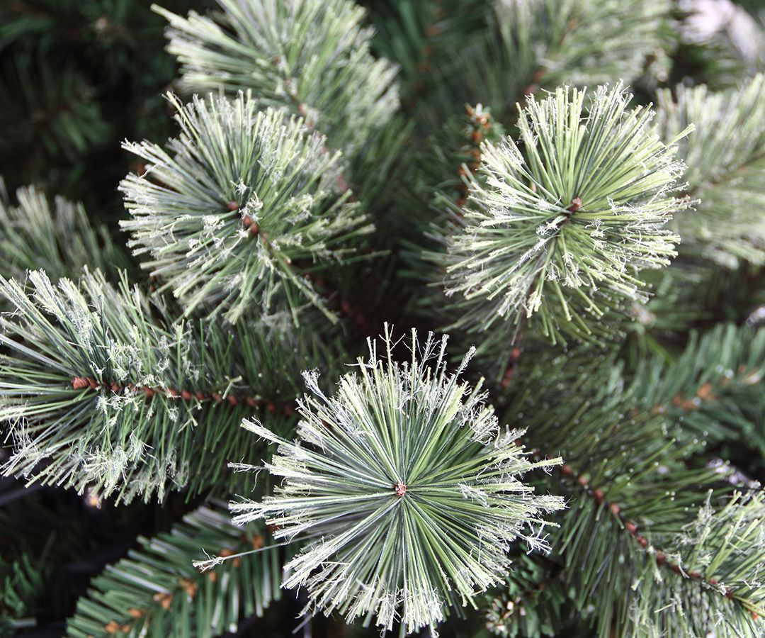 Bavaria Pine Tree B1 mit Mini LED Lichtern