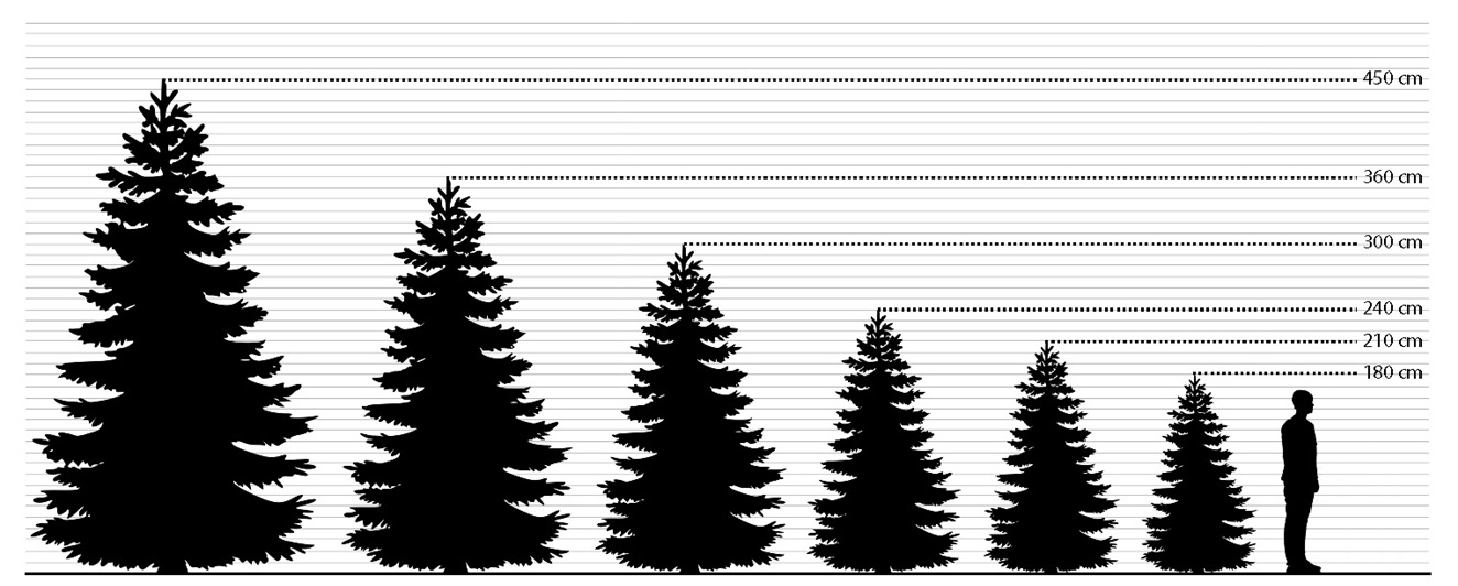 Bavaria Pine Tree (B1)